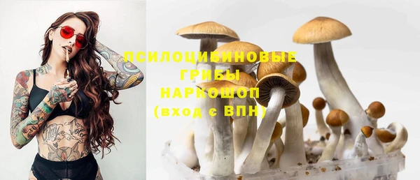 ГАЛЛЮЦИНОГЕННЫЕ ГРИБЫ Беломорск