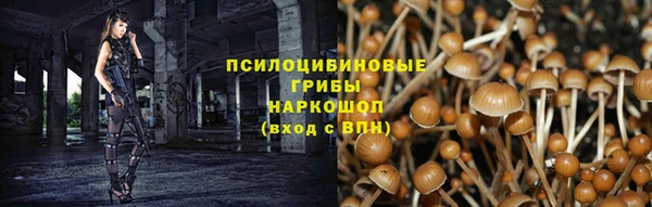 2c-b Белоозёрский