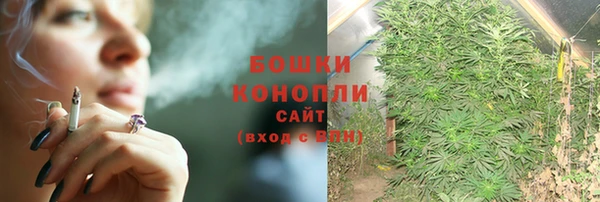 ГАЛЛЮЦИНОГЕННЫЕ ГРИБЫ Беломорск