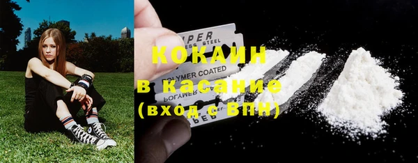 ГАЛЛЮЦИНОГЕННЫЕ ГРИБЫ Беломорск