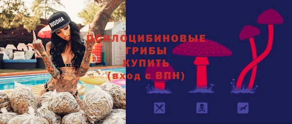 ГАЛЛЮЦИНОГЕННЫЕ ГРИБЫ Беломорск