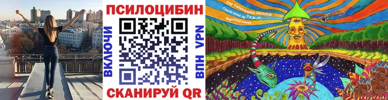 купить наркотики цена  Короча  ОМГ ОМГ ТОР  Галлюциногенные грибы Magic Shrooms 